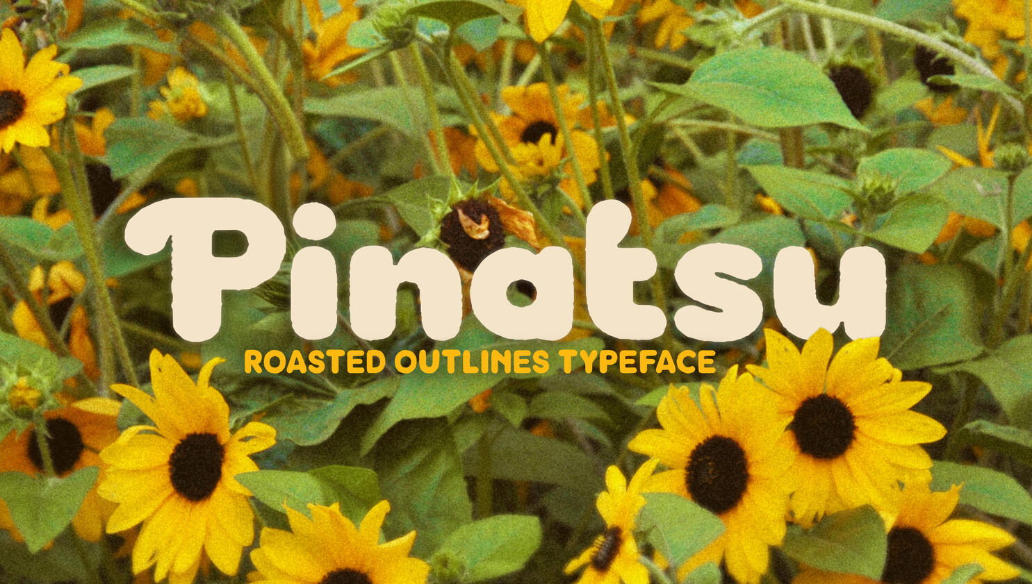 Pinatsu Font
